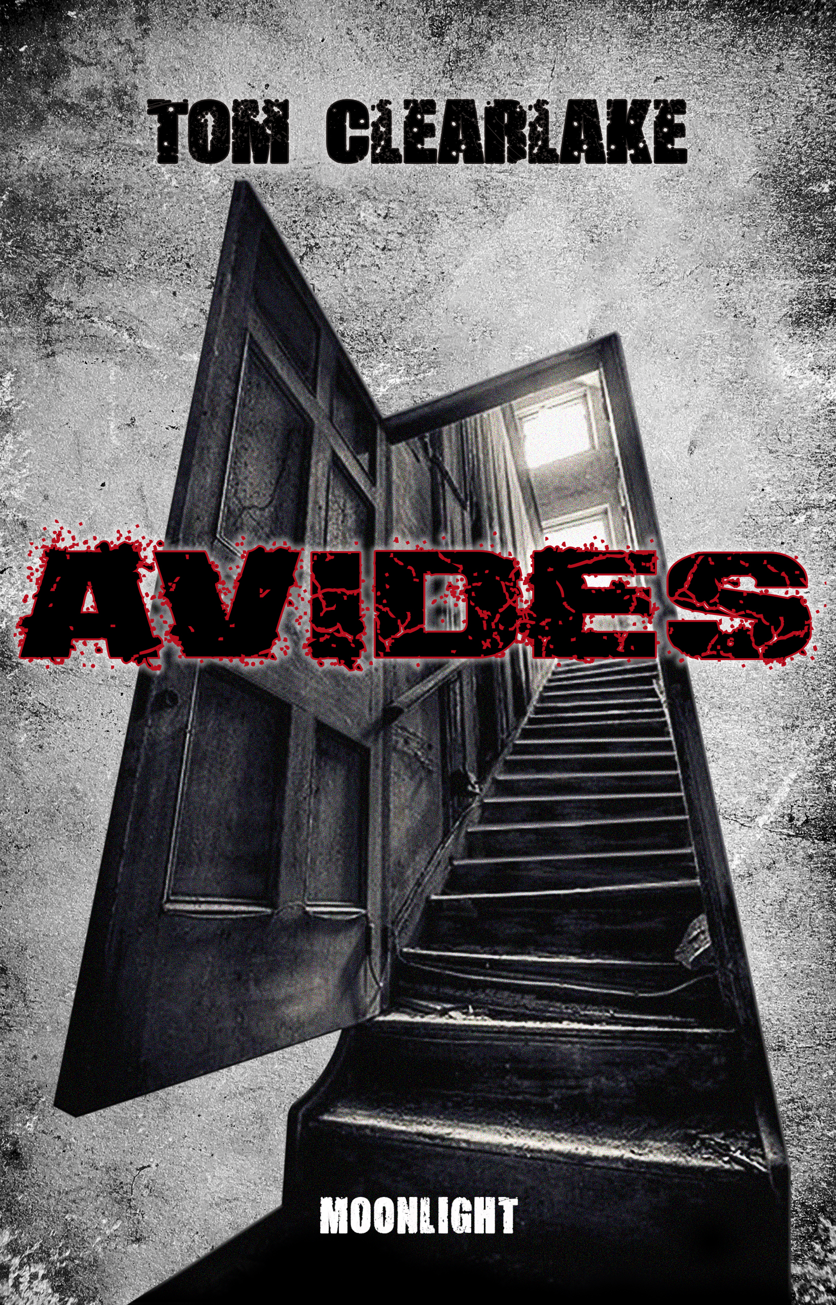 AVIDES_COUV_300dpi.jpg