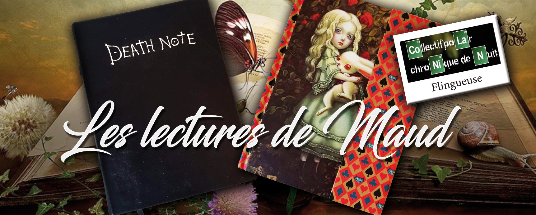 Bandeau_Les lectures de Maud_02b.jpg