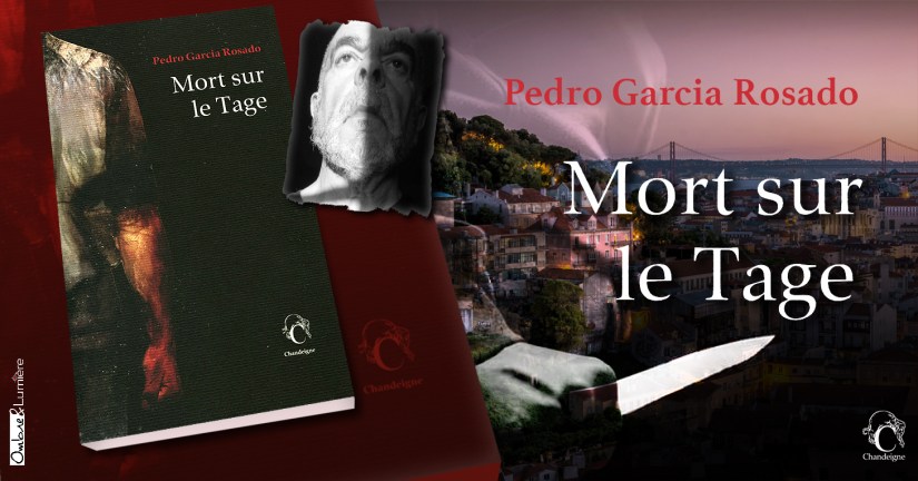 • Bandeau_Intro_3.jpg