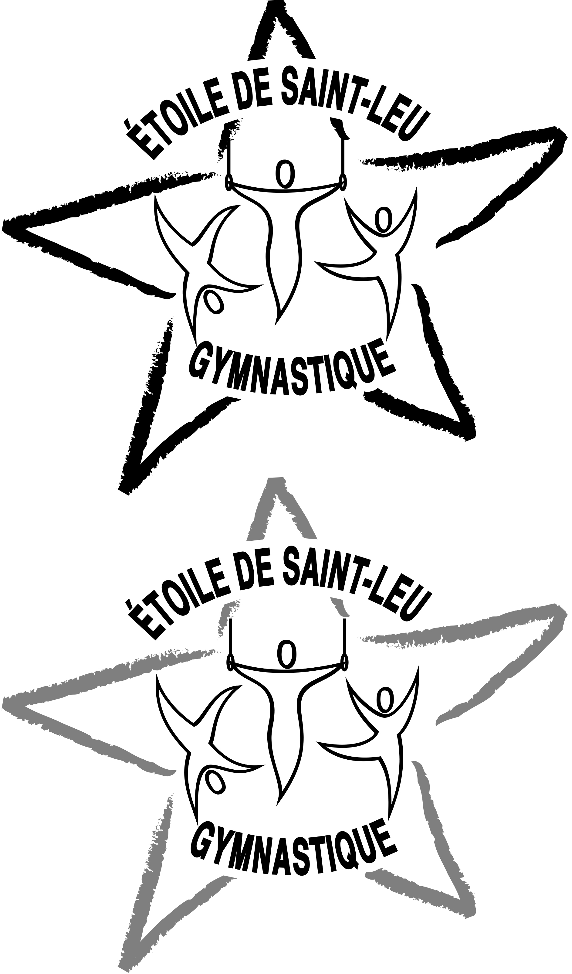 Etoile StLeu-1 20 11 2010.jpg
